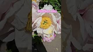 Download Lagu Tuhan!!  #katakatabijak MP3