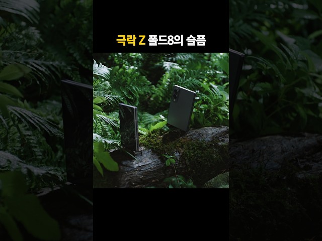 극락 Z 폴드8의 슬픔