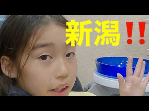 新潟の親戚‼️説明が難しいね｜予防歯科　原歯科医院【調布市・八雲台・布田駅】
