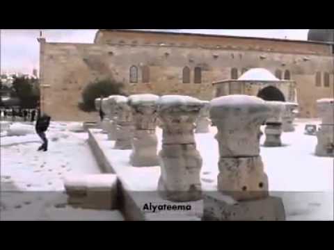 عيوننا إليك ترحل كل يوم يا قدس