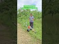 #fermer #automobile #qashqirlarmakonipistirma #agrotehnika #farming #shayxrahmatullohtermiziy #mata
