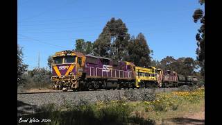 N454, P17 and N473 at Golden Square on SSR's 9083 Workshops Transfer- 7/10/26