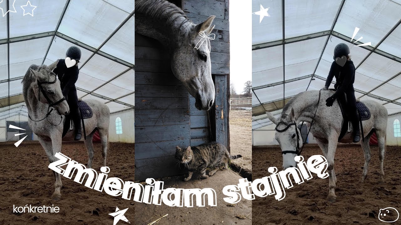 PIERWSZY TRENING W NOWEJ STAJNI