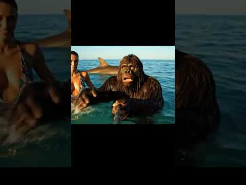 كان ايكولني قرش انا او امال    ضحك