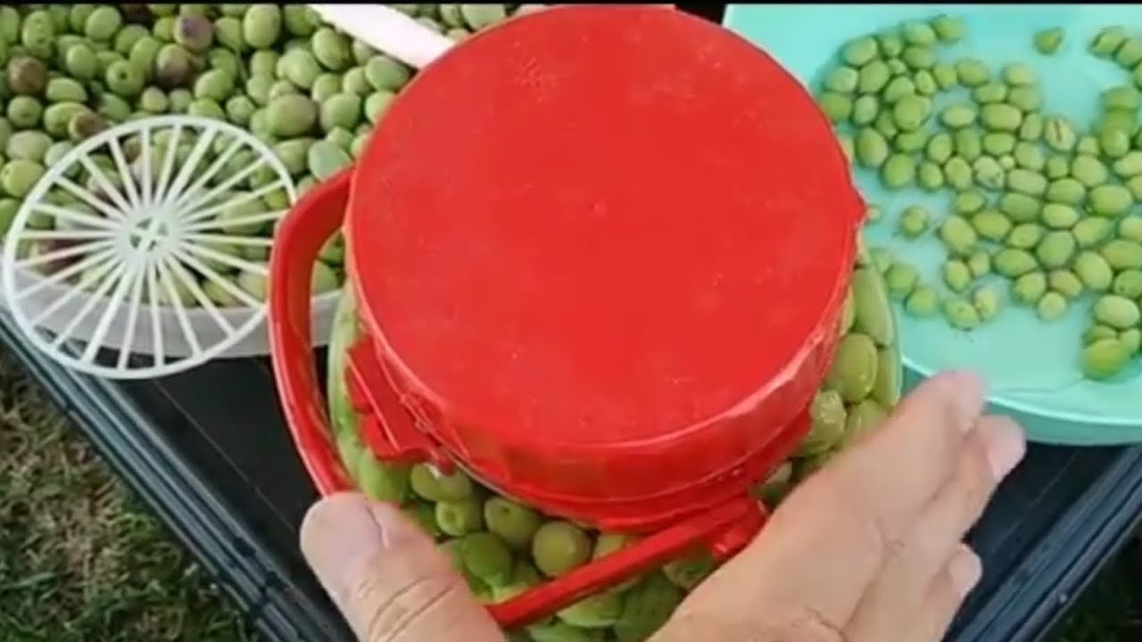 Yeşil Çizme Çizik Zeytin En İyi Tarifi Nasıl Kurulur @Nefis Yemek Tarifleri @PRATİK YEMEK TARİFLERİ