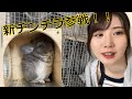 新たなチンチラ参戦！！