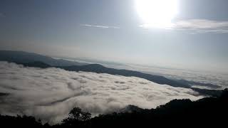 หมอกไหล1