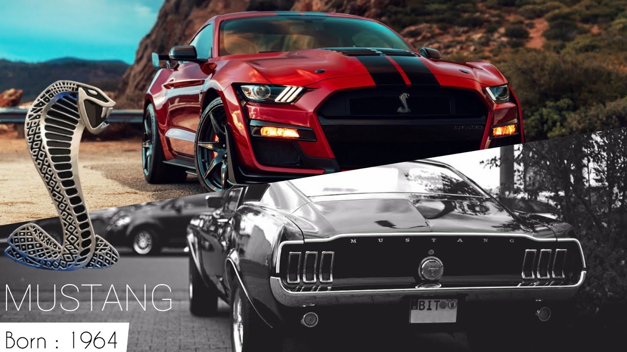 Ford Mustang | Born : 17-April-1964