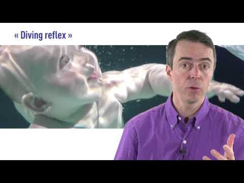 Breathing in aquatic environments: Apnea and drowning