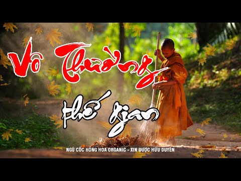 Video Vô Thường Một Kiếp Nhân Sinh - Nghe Để Hết Mọi Phiền... - youtube