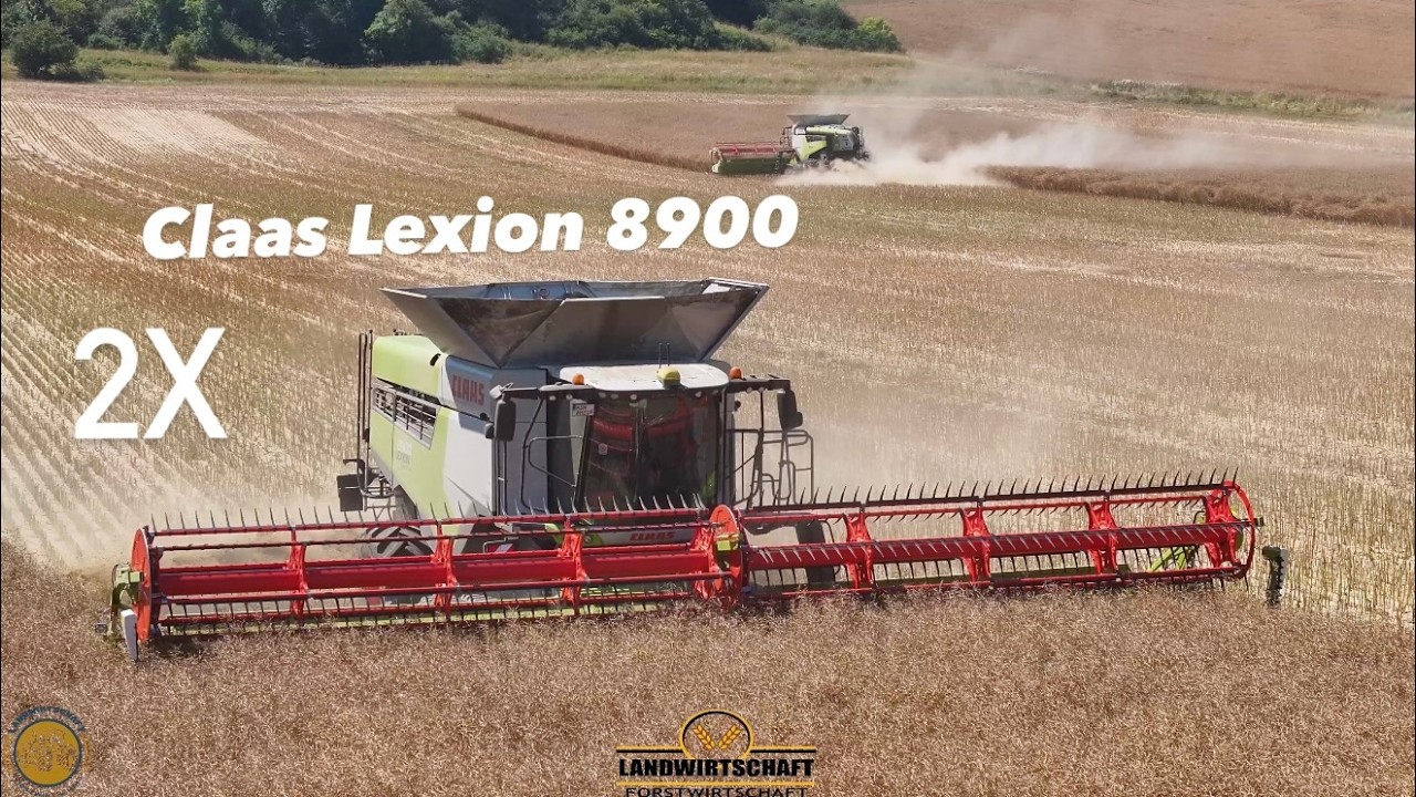 Mach Spass So Wuchtig macht Raps Dreschen Spaß! 2x Claas Lexion 8900 Mähdrescher ...