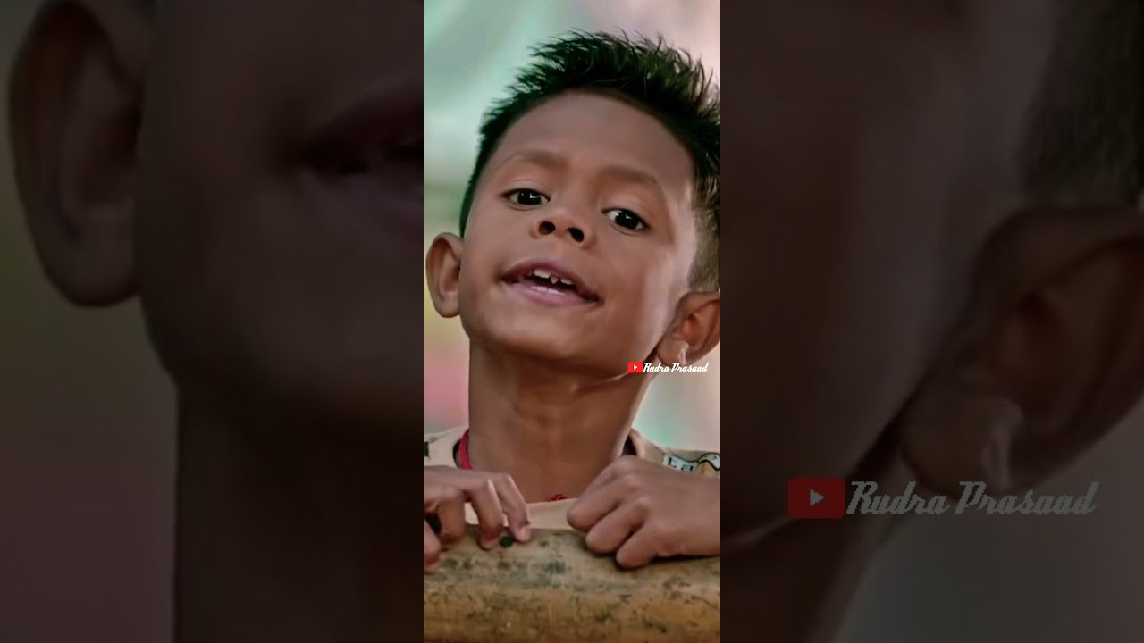 Gua Ghia Odia Song Status || Guaghia Odia Status || Gua Ghia Odia Song ||Odia Status status king 0.2