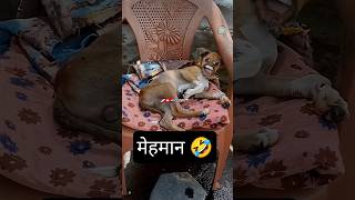 मेहमान जी🤣 #thetharpuns #comedy #hinarahulvlog #shorts #trending #heenarahulshorts