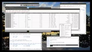 2.1 Utility procedures in SAS (linux)