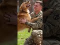 Soldier Returns Home to Blind Dog It Gets Emotional! #!soldier #reunion #dog