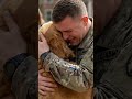Soldier Returns Home to Blind Dog It Gets Emotional! #!soldier #reunion #dog