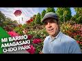CONOCE MI BARRIO: EL PARQUE DE ROSAS DE AMAGASAKI Y EL RARO KOFUN DE OOIDO 大井戸公園