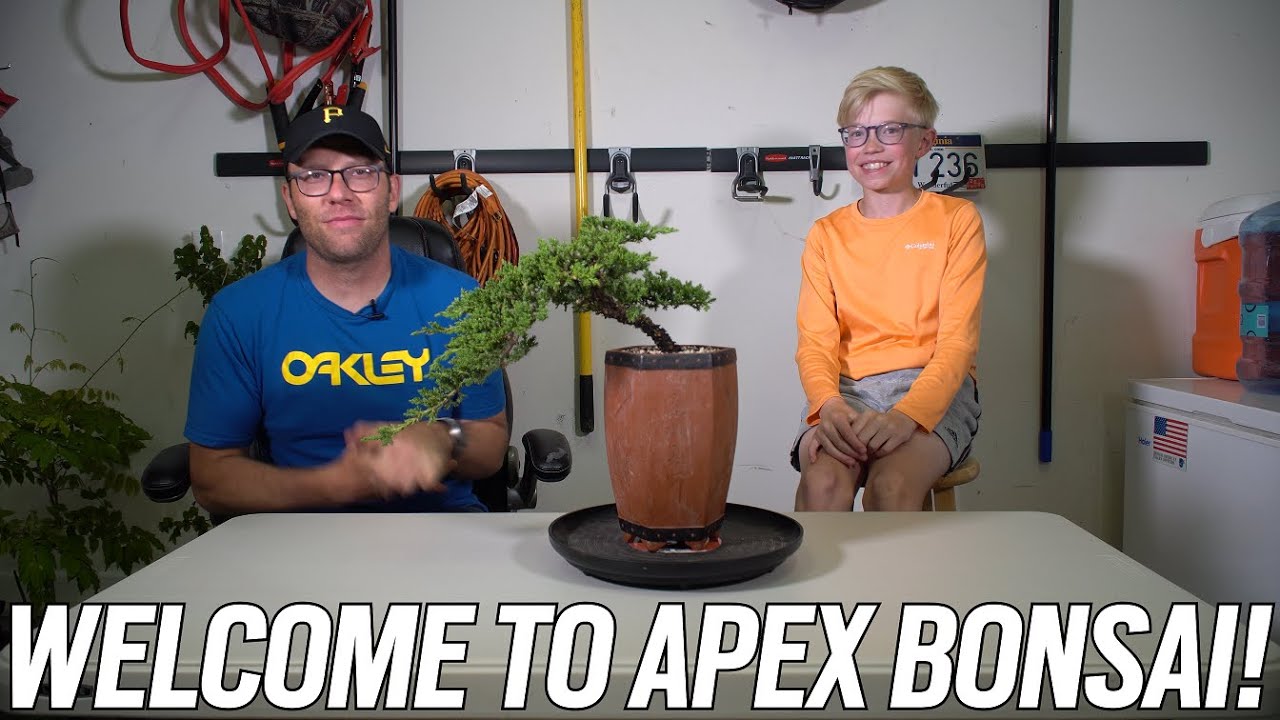 Apex Bonsai to Our Channel! YouTube
