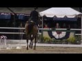 Lex &amp; Susan Martin - FEI Freestyle Test of Choice - Flintridge 2013