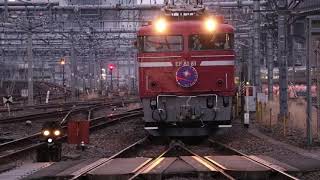 《本年最終》最終に相応しくお召し機を使用!黄金のｽﾍﾟｰｼｱと並ぶ!!【E26系客車+EF81形電気機関車81号機】『ｶｼｵﾍﾟｱ紀行 盛岡駅行き』大宮駅
