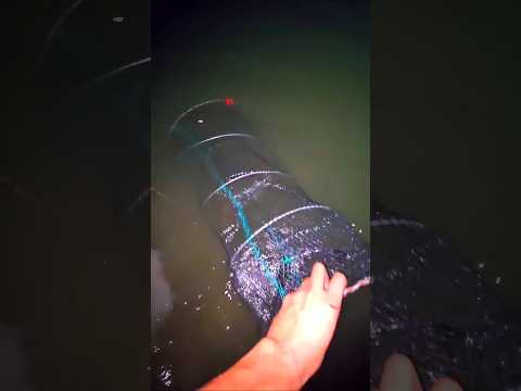 True Story of a Dark Rainy Scary Fishing Night in Kolkata