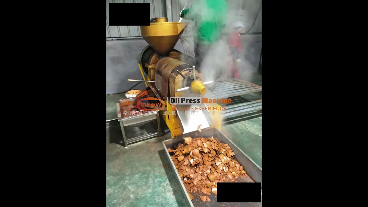 Guangxin YZYX140GX Spiral Oil Press Extraction Chilli Seeds 
