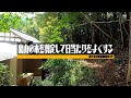 裏山の木を剪定して日当たりをよくする