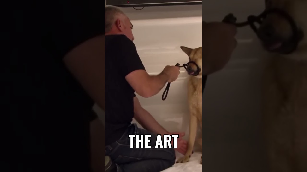 The Art vs The Artist