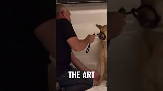 The Art vs The Artist