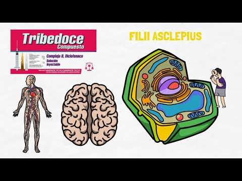 TRIBEDOCE COMPUESTO |