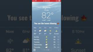 Windy Feels Like A Fall Type Of Weather Which Is Memorable In My Opinion