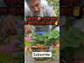 স্ট্রবেরী 🍓 গাছে প্রচুর ফুল ফল আনতে এটা করুন 🍓🌿🍃🌱🖤 #gardening #youtubeshorts #youtubeshort #ytshorts