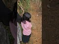 നാട്ടിലെത്തി തെണ്ടാൻ ഇറങ്ങി😂#shortvideo #youtubeshorts #villagevlog #shortsfeed