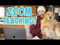 Zoom Teaching Be Like!
