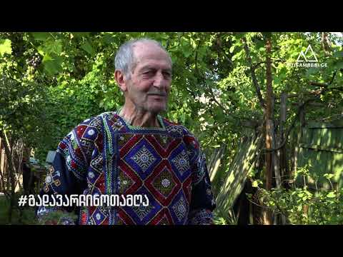 #გადავარჩინოთამღა - გოგი წიკლაური