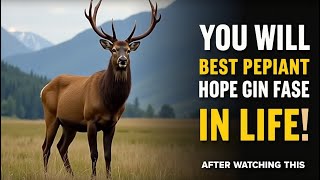 YOU WILL NEVER LOSE HOPE IN YOUR LIFE | MOTIVATIONAL STORY OF A DEER | #hope