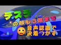テスラの音声認識で限界チャレンジ！果たしてサスケのモデル３はどこまでアップデートされているのか！