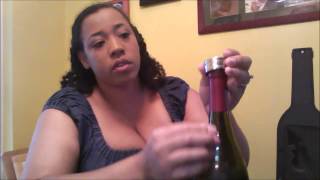 Ozeri 5 Piece Wine Accessory Set Review