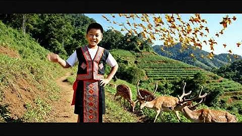 Câu chuyện Tiếng hát Nai Ngọc