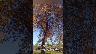 Günaydın Insanlara.umut Dolu Hayatlarınız Olsun.