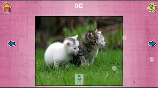 Dog Puzzles - Relaxing photo picture puzzles for kids and adults by App Family AB / Game 33 screenshot 5