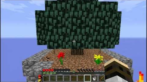 Challenge Accepted: SKYBLOCK 2.1 Part 12