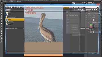 Photoshop CS6: Bridge and Metadata