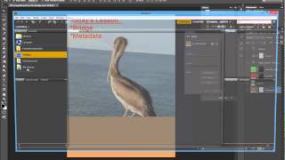 Photoshop CS6: Bridge and Metadata