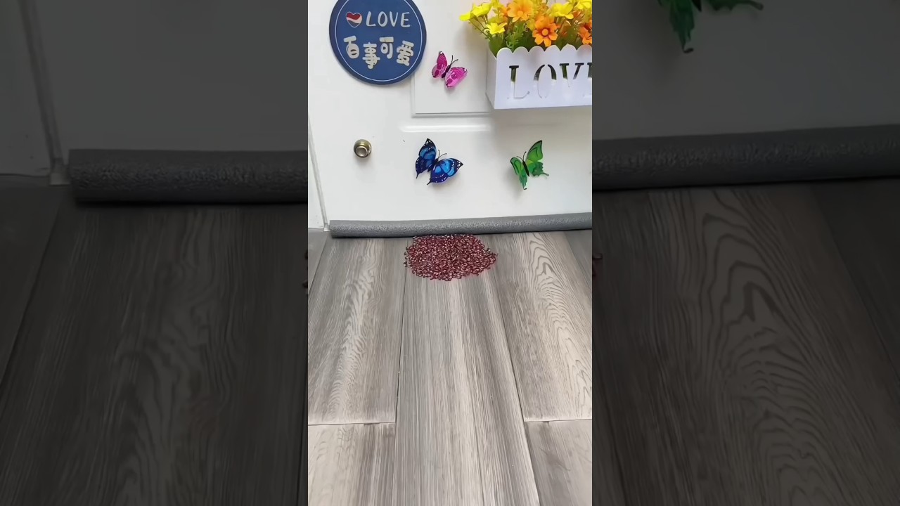 air seal pack door gaud safety from dust and professional 