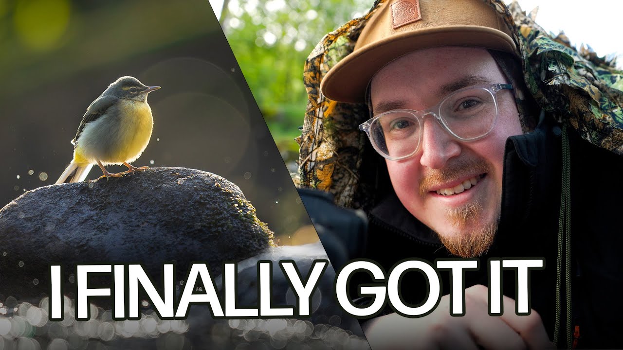 I Waited Long For This Bird… Totally Worth It!