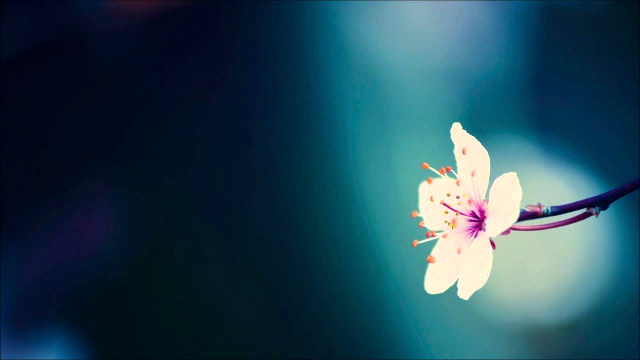 Alexander Volosnikov - A Whiff Of Spring