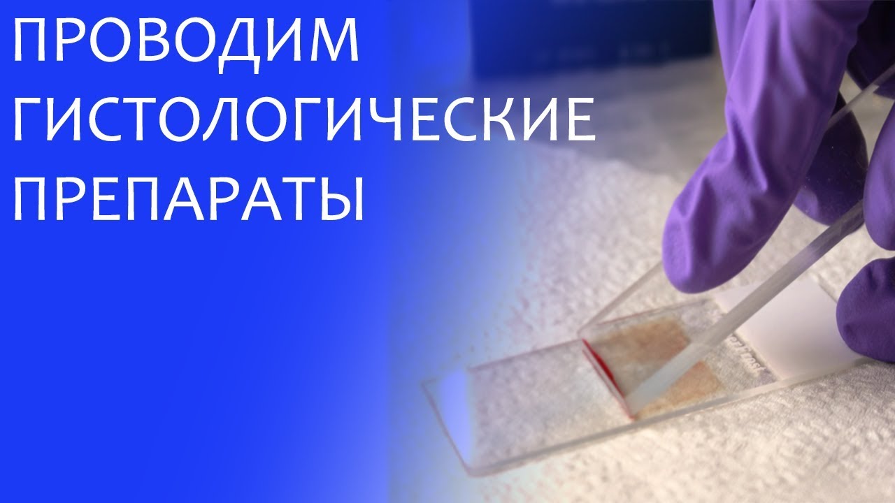 Гистологическая проводка