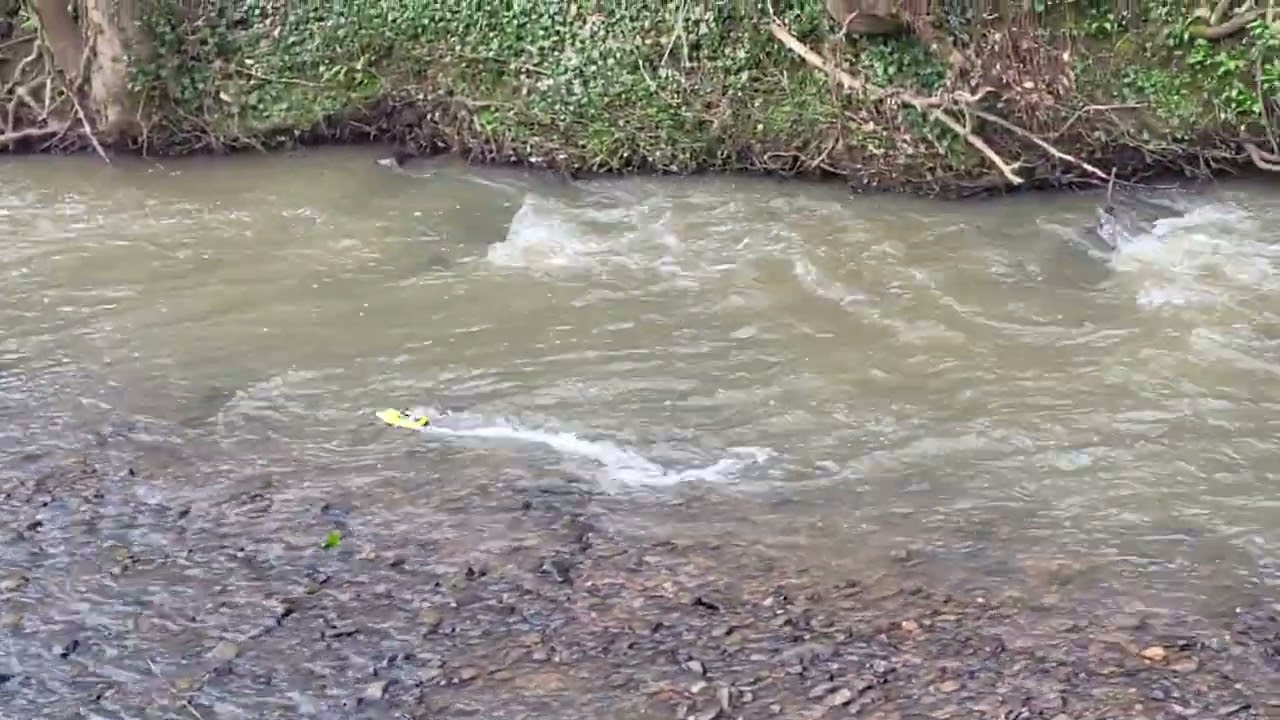 wl917 mini brushless rc jet boat