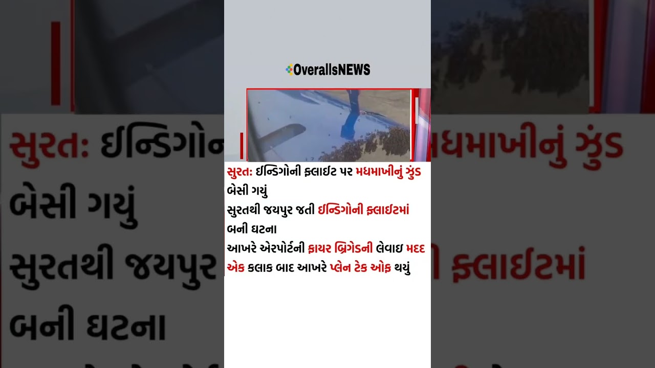 ગુજરાતી સમાચાર | Breking news | Gujrati News 